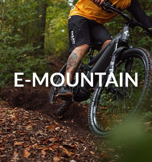 E-MOUNTAINBIKE