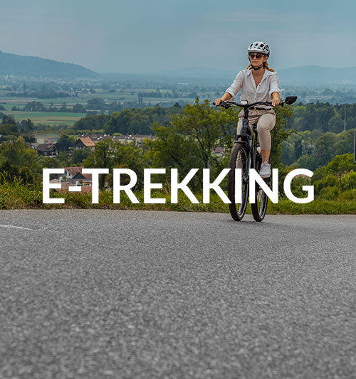 Trekking E-Bike